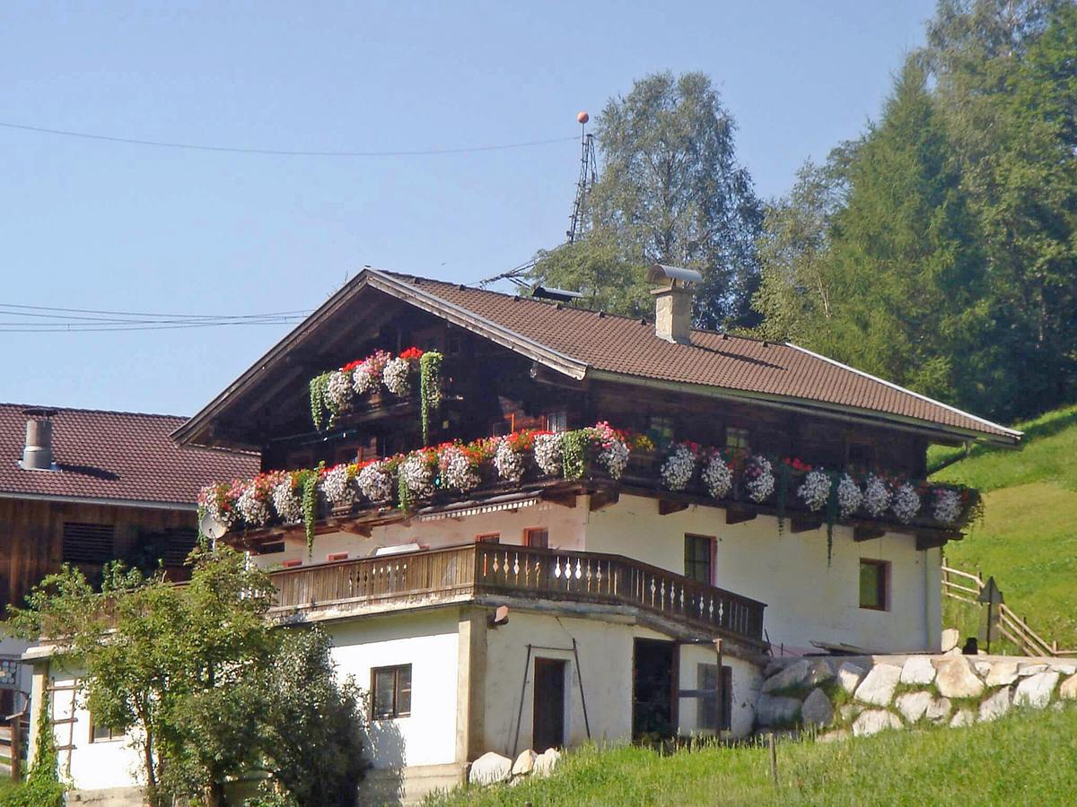 Almliesl Mitt-581 Villa Mittersill Bagian luar foto